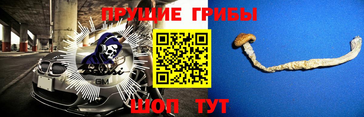 Ставрополь  Галлюциногенные грибы Psilocybine cubensis  Вход с VPN 