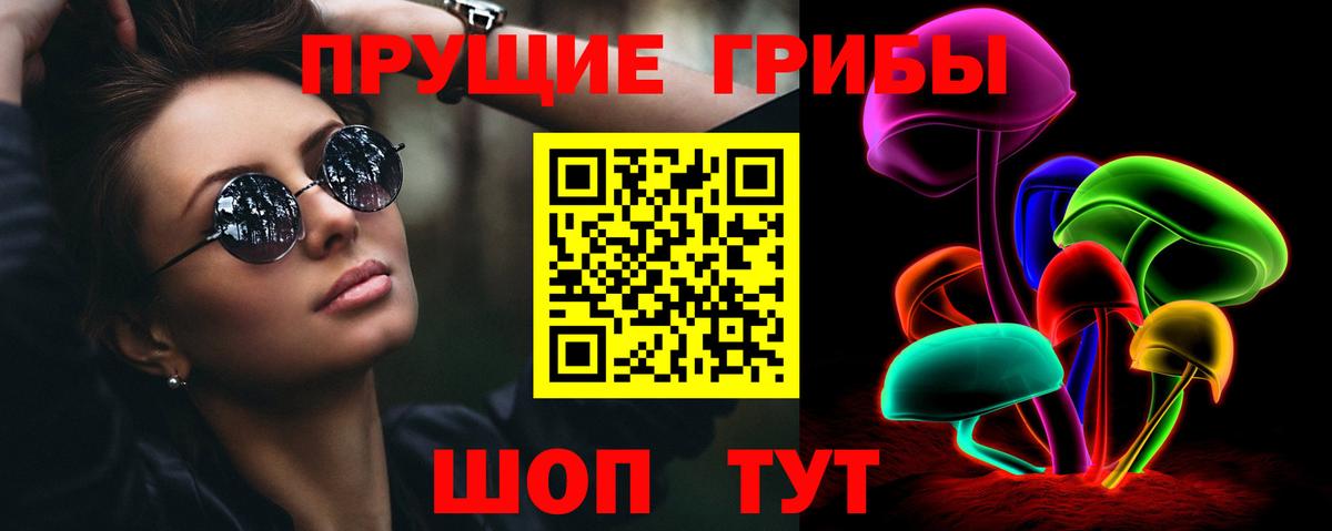 Псилоцибиновые грибы Psilocybe Ставрополь